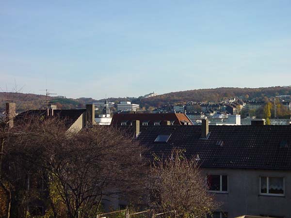 DSC03882