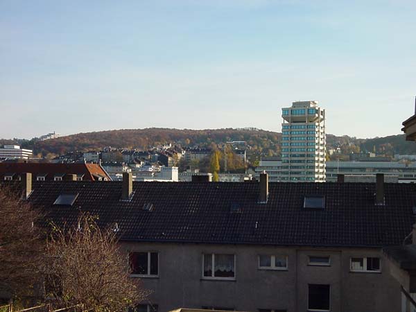 DSC03883
