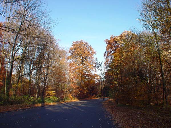 Duerrweg