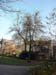 Birnbaum
